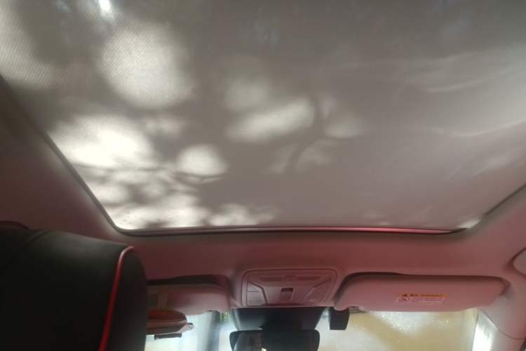 Used Hongqi HS5 2019 2.0T Smart Connect Flagship All-Wheel-Drive Version Headliner