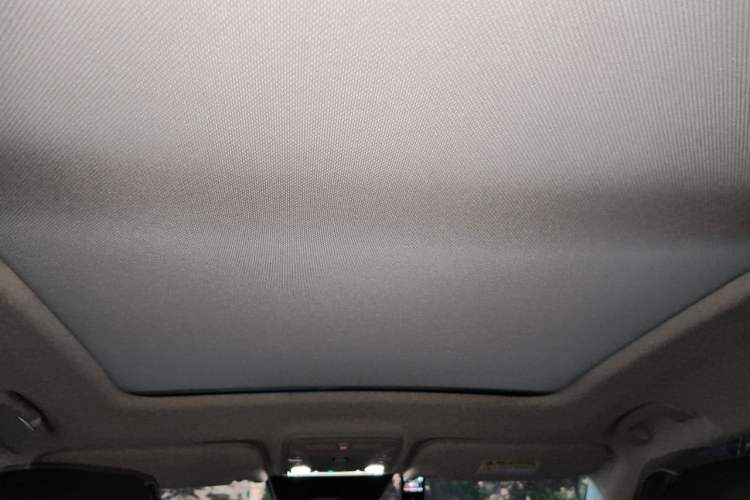 Used Hongqi HS5 2019 2.0T Smart Connect Flagship Edition Headliner