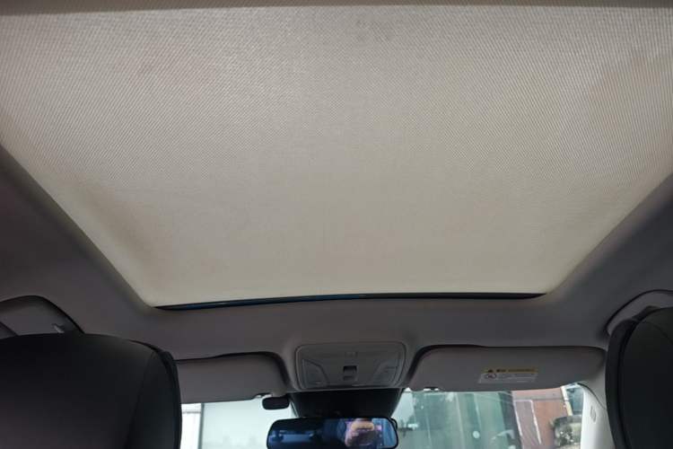 Used Hongqi HS5 2019 2.0T Smart Connect Flagship Edition Headliner