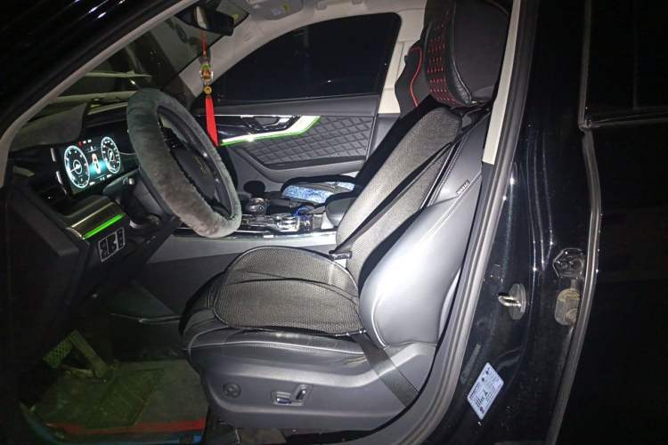 Used Hongqi HS5 2019 2.0T Smart Connect Flagship Edition Left Front Seat