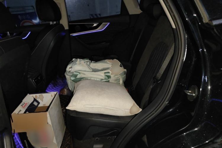 Used Hongqi HS5 2019 2.0T Smart Connect Flagship Edition Left Rear Seat