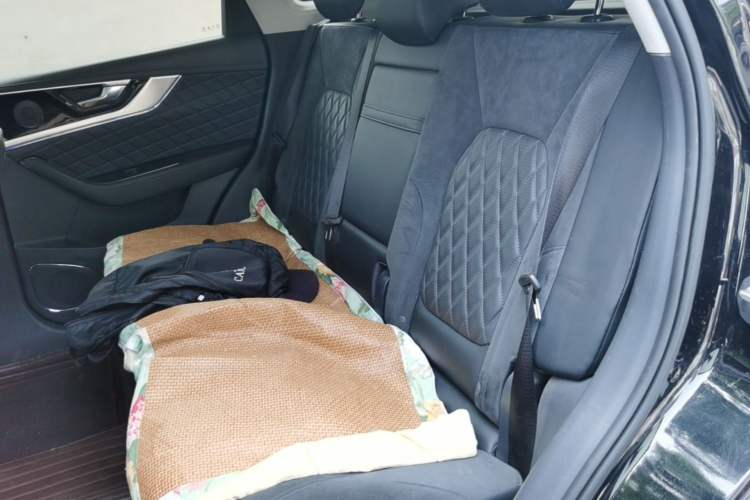 Used Hongqi HS5 2019 2.0T Smart Connect Flagship Edition Left Rear Seat