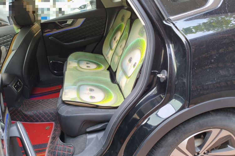 Used Hongqi HS5 2019 2.0T Smart Connect Flagship Edition Left Rear Seat