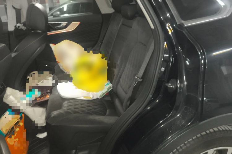 Used Hongqi HS5 2019 2.0T Smart Connect Flagship All-Wheel-Drive Version Left Rear Seat