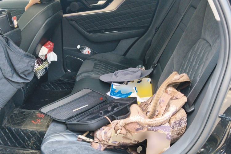 Used Hongqi HS5 2019 2.0T Smart Connect Flagship All-Wheel-Drive Version Left Rear Seat