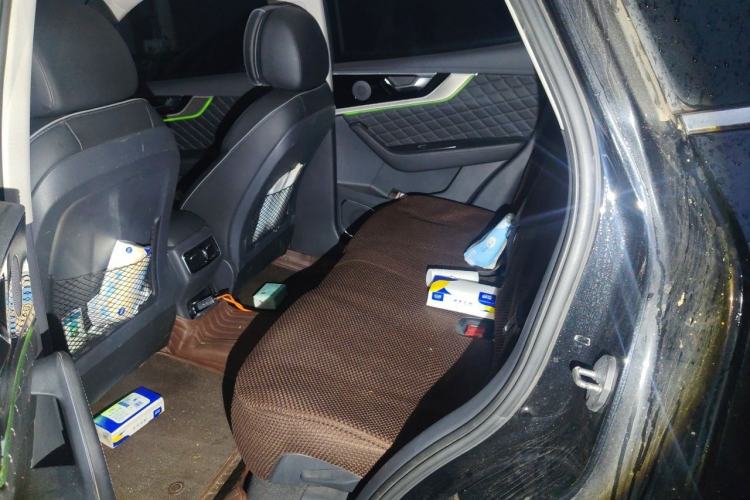 Used Hongqi HS5 2019 2.0T Smart Connect Flagship All-Wheel-Drive Version Left Rear Seat