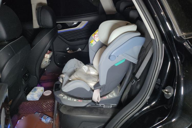 Used Hongqi HS5 2019 2.0T Smart Connect Flagship Edition Left Rear Seat