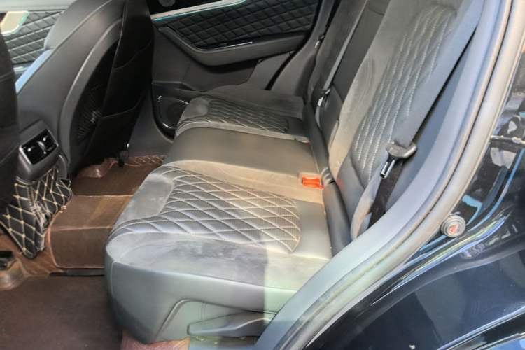 Used Hongqi HS5 2019 2.0T Smart Connect Flagship All-Wheel-Drive Version Left Rear Seat