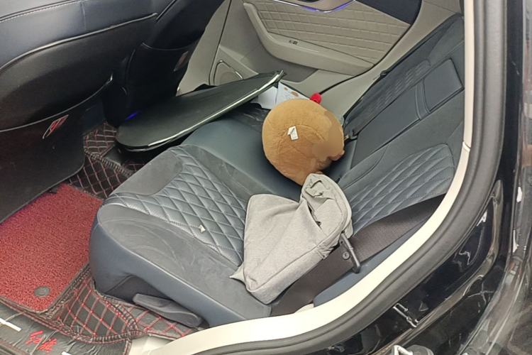 Used Hongqi HS5 2019 2.0T Smart Connect Flagship Edition Left Rear Seat