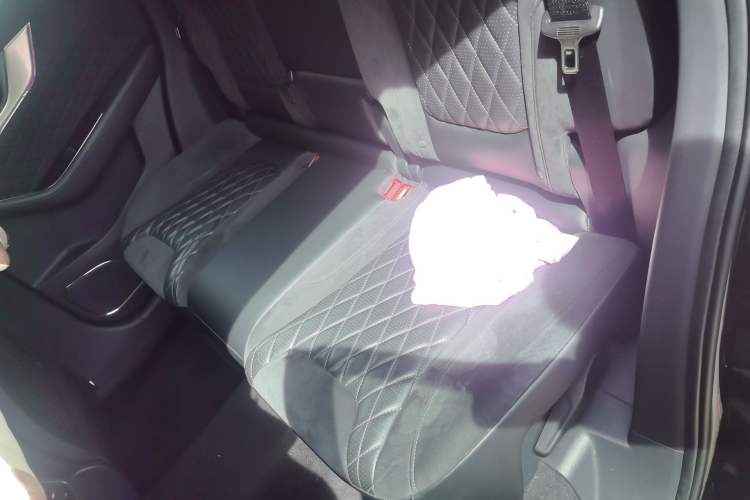Used Hongqi HS5 2019 2.0T Smart Connect Flagship Edition Left Rear Seat