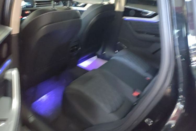 Used Hongqi HS5 2019 2.0T Smart Connect Flagship All-Wheel-Drive Version Left Rear Seat
