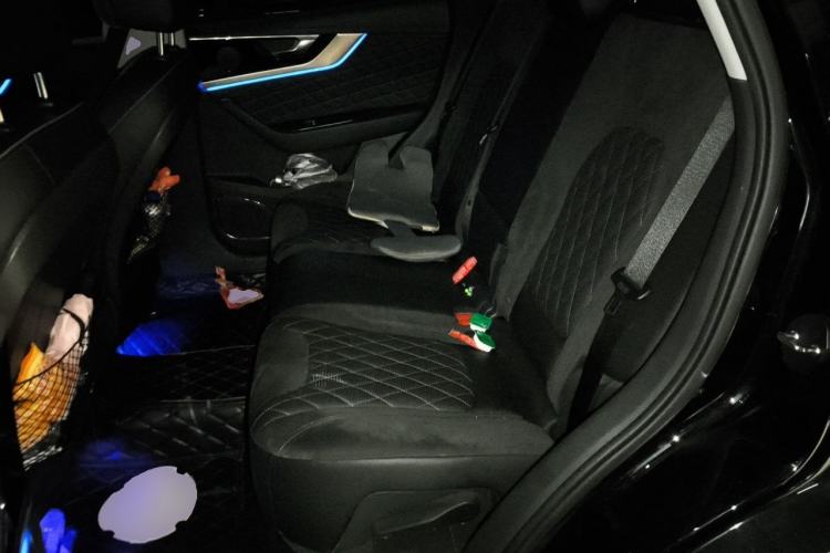 Used Hongqi HS5 2019 2.0T Smart Connect Flagship Edition Left Rear Seat