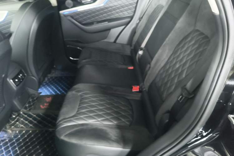 Used Hongqi HS5 2019 2.0T Smart Connect Flagship All-Wheel-Drive Version Left Rear Seat
