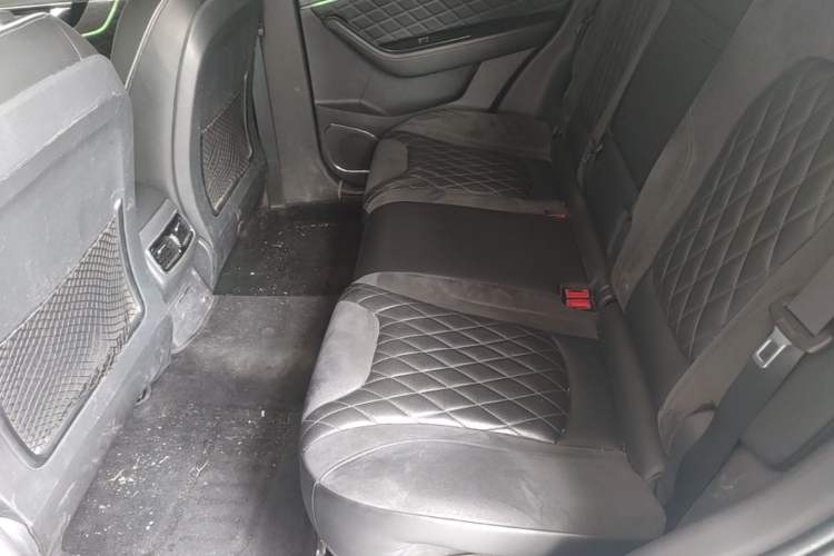 Used Hongqi HS5 2019 2.0T Smart Connect Flagship All-Wheel-Drive Version Left Rear Seat