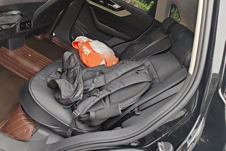 Used Hongqi HS5 2019 2.0T Smart Connect Flagship Edition Left Rear Seat