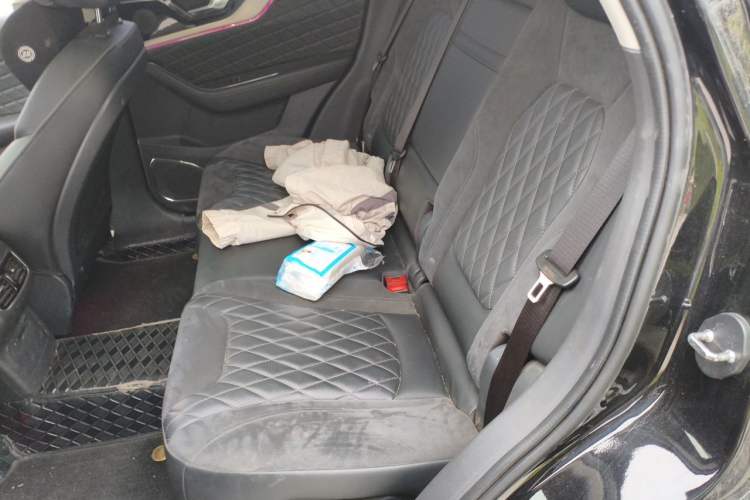 Used Hongqi HS5 2019 2.0T Smart Connect Flagship Edition Left Rear Seat