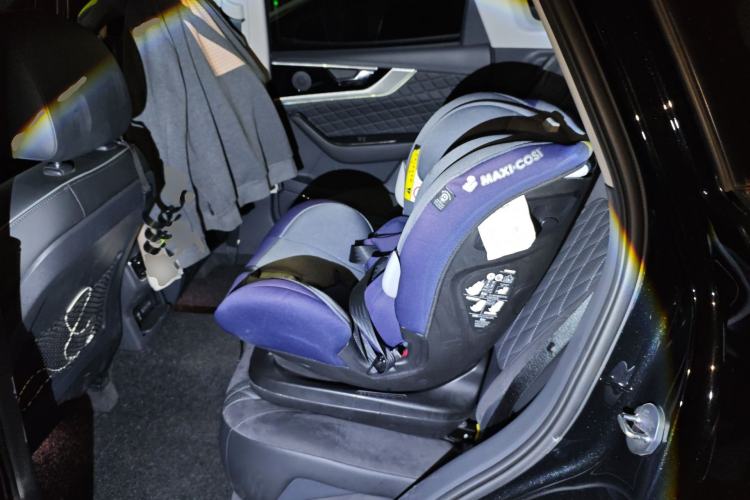 Used Hongqi HS5 2019 2.0T Smart Connect Flagship Edition Left Rear Seat