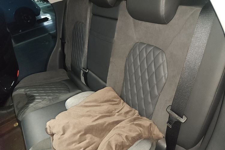 Used Hongqi HS5 2019 2.0T Smart Connect Flagship Edition Left Rear Seat