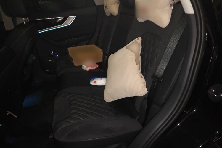 Used Hongqi HS5 2019 2.0T Smart Connect Flagship All-Wheel-Drive Version Left Rear Seat