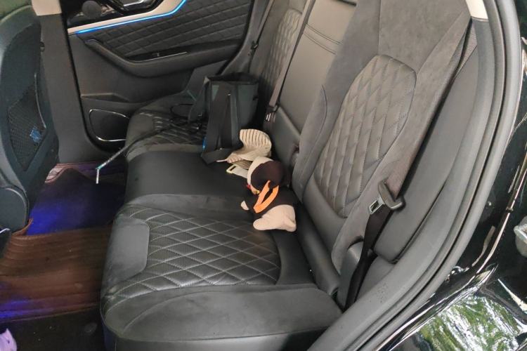 Used Hongqi HS5 2019 2.0T Smart Connect Flagship Edition Left Rear Seat