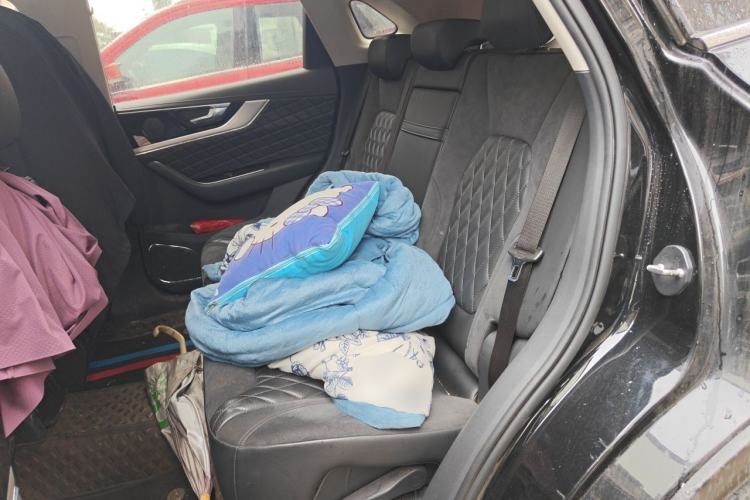 Used Hongqi HS5 2019 2.0T Smart Connect Flagship Edition Left Rear Seat