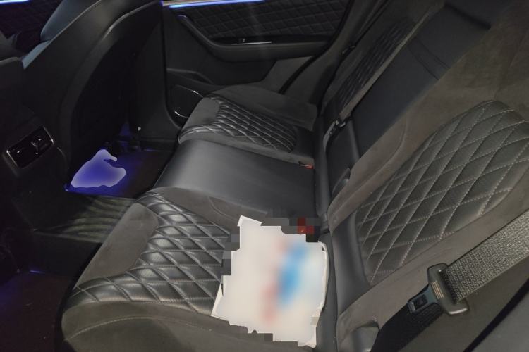 Used Hongqi HS5 2019 2.0T Smart Connect Flagship Edition Left Rear Seat