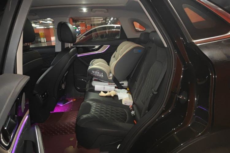 Used Hongqi HS5 2019 2.0T Smart Connect Flagship Edition Left Rear Seat