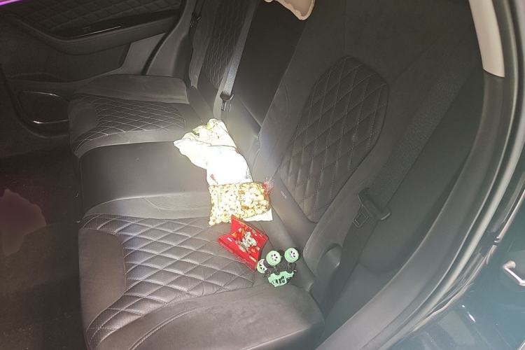 Used Hongqi HS5 2019 2.0T Smart Connect Flagship Edition Left Rear Seat