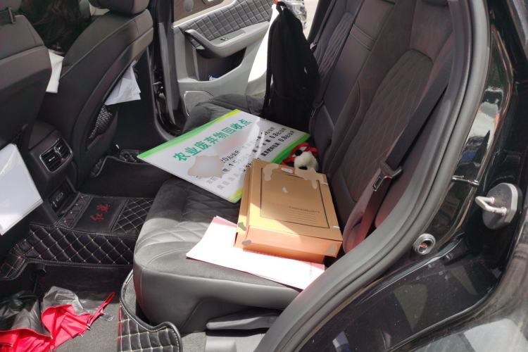 Used Hongqi HS5 2019 2.0T Smart Connect Flagship Edition Left Rear Seat