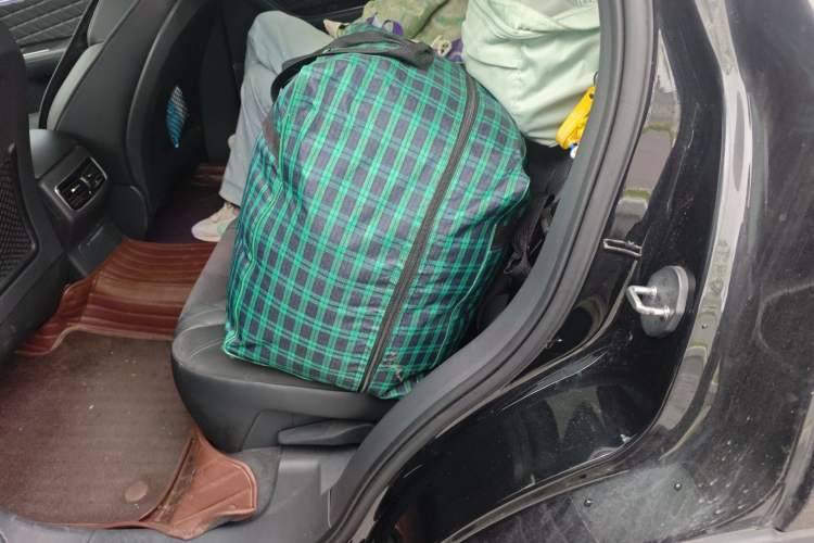 Used Hongqi HS5 2019 2.0T Smart Connect Flagship All-Wheel-Drive Version Left Rear Seat