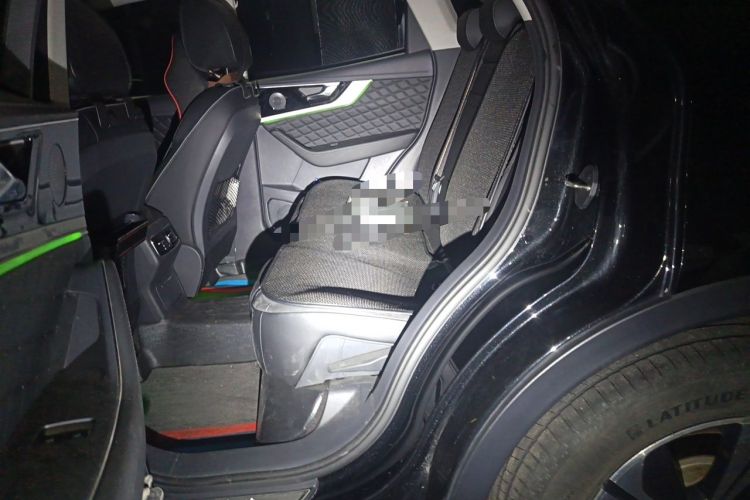 Used Hongqi HS5 2019 2.0T Smart Connect Flagship Edition Left Rear Seat