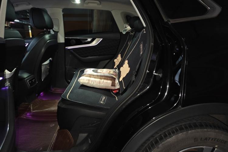 Used Hongqi HS5 2019 2.0T Smart Connect Flagship Edition Left Rear Seat