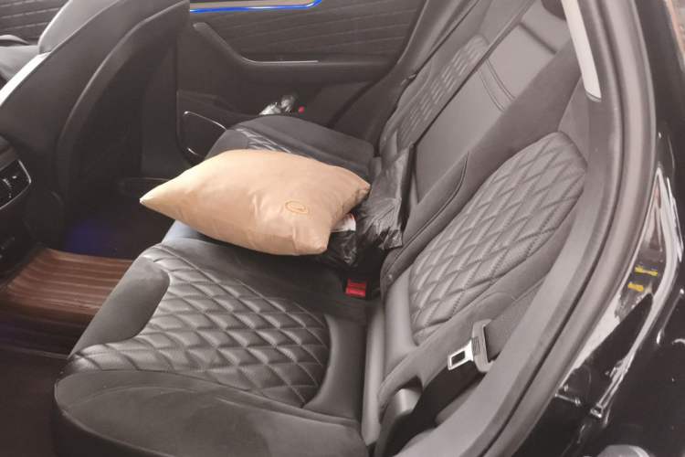 Used Hongqi HS5 2019 2.0T Smart Connect Flagship All-Wheel-Drive Version Left Rear Seat