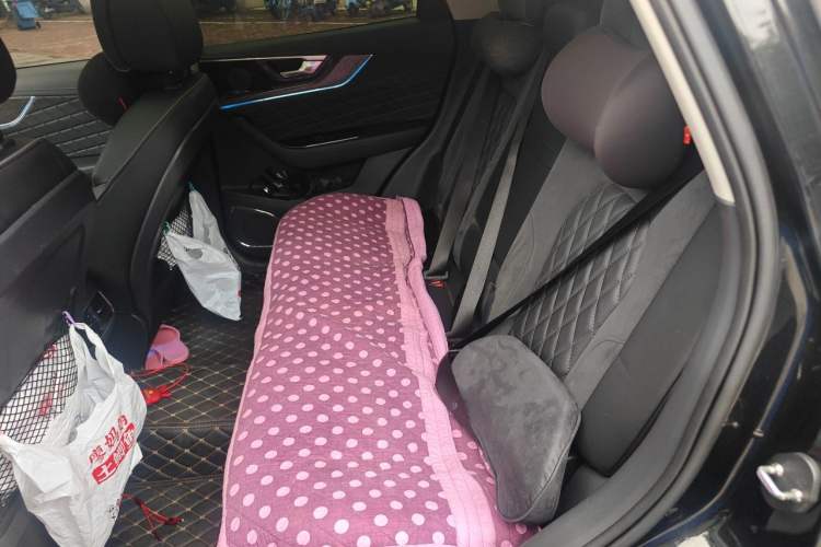 Used Hongqi HS5 2019 2.0T Smart Connect Flagship Edition Left Rear Seat