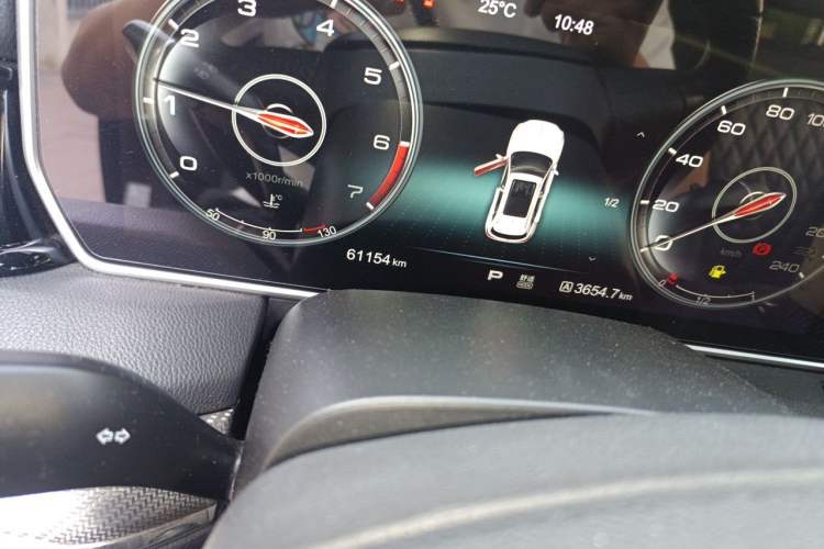 Used Hongqi HS5 2019 2.0T Smart Connect Flagship All-Wheel-Drive Version Odometer Close Up