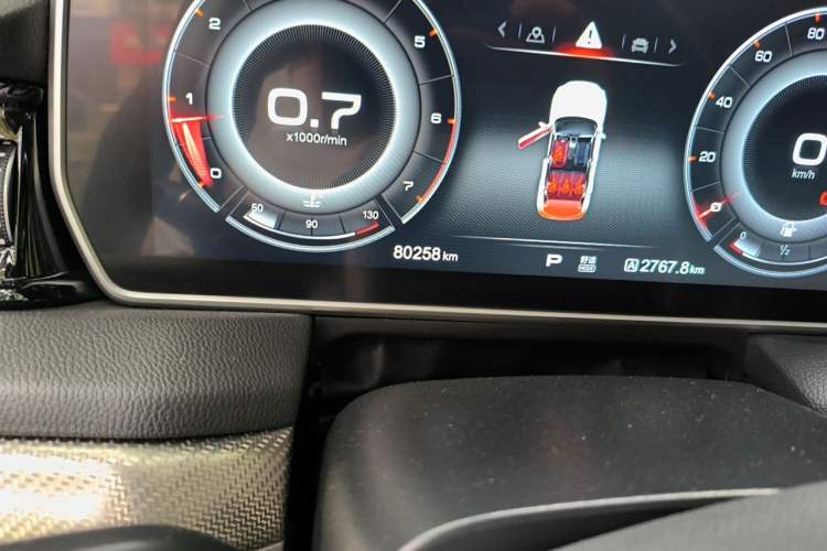 Used Hongqi HS5 2019 2.0T Smart Connect Flagship All-Wheel-Drive Version Odometer Close Up