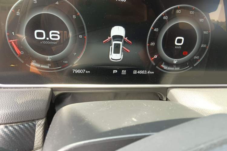 Used Hongqi HS5 2019 2.0T Smart Connect Flagship Edition Odometer Close Up