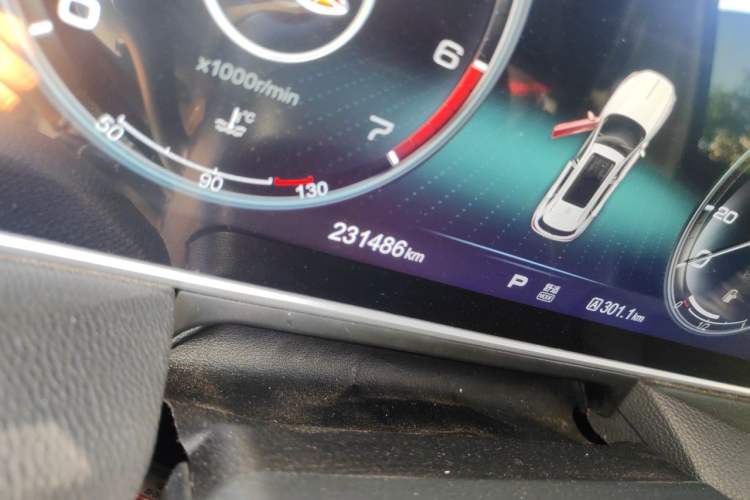 Used Hongqi HS5 2019 2.0T Smart Connect Flagship All-Wheel-Drive Version Odometer Close Up