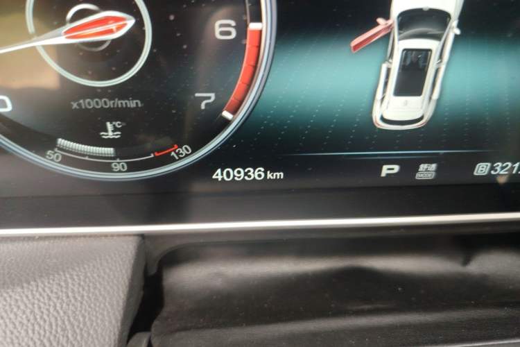 Used Hongqi HS5 2019 2.0T Smart Connect Flagship All-Wheel-Drive Version Odometer Close Up