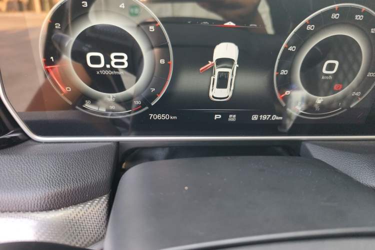 Used Hongqi HS5 2019 2.0T Smart Connect Flagship All-Wheel-Drive Version Odometer Close Up