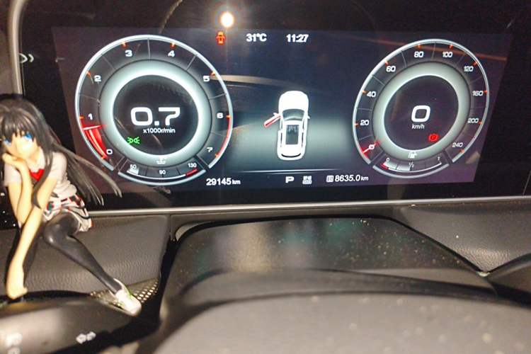 Used Hongqi HS5 2019 2.0T Smart Connect Flagship Edition Odometer Close Up