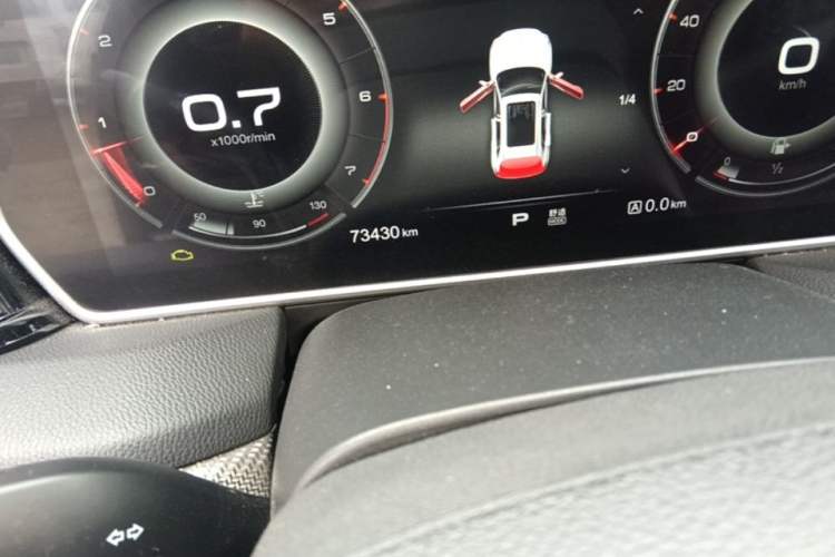 Used Hongqi HS5 2019 2.0T Smart Connect Flagship Edition Odometer Close Up