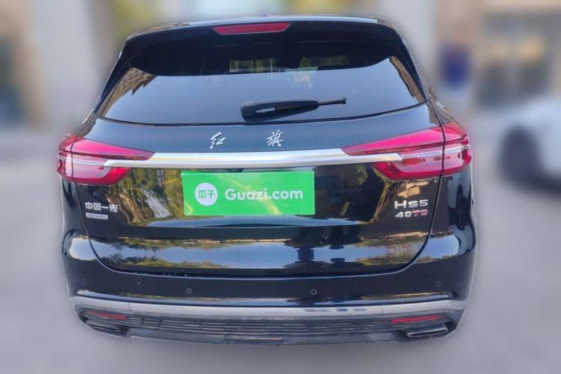 Used Hongqi HS5 2019 2.0T Smart Connect Flagship All-Wheel-Drive Version Rear