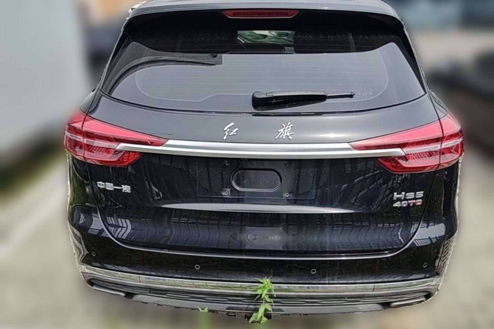 Used Hongqi HS5 2019 2.0T Smart Connect Flagship Edition Rear