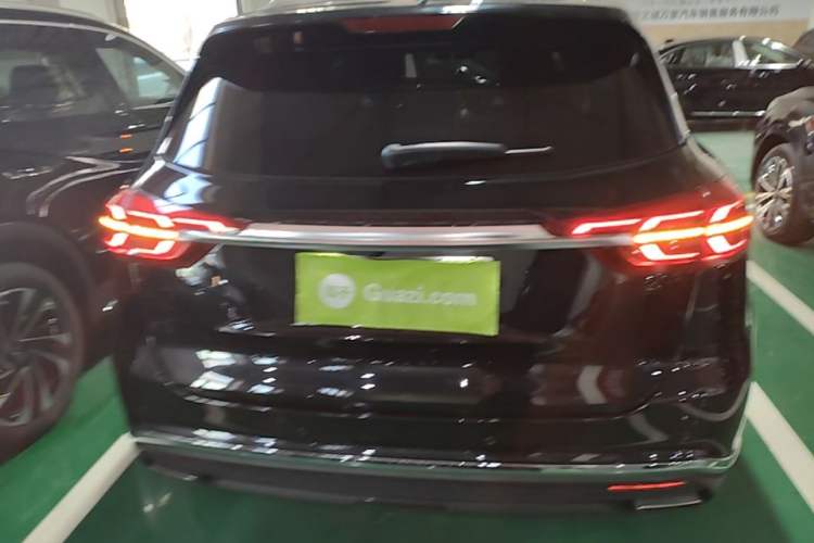 Used Hongqi HS5 2019 2.0T Smart Connect Flagship All-Wheel-Drive Version Rear