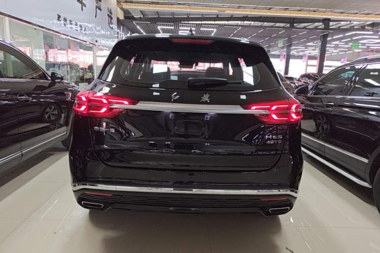 Used Hongqi HS5 2019 2.0T Smart Connect Flagship Edition Rear