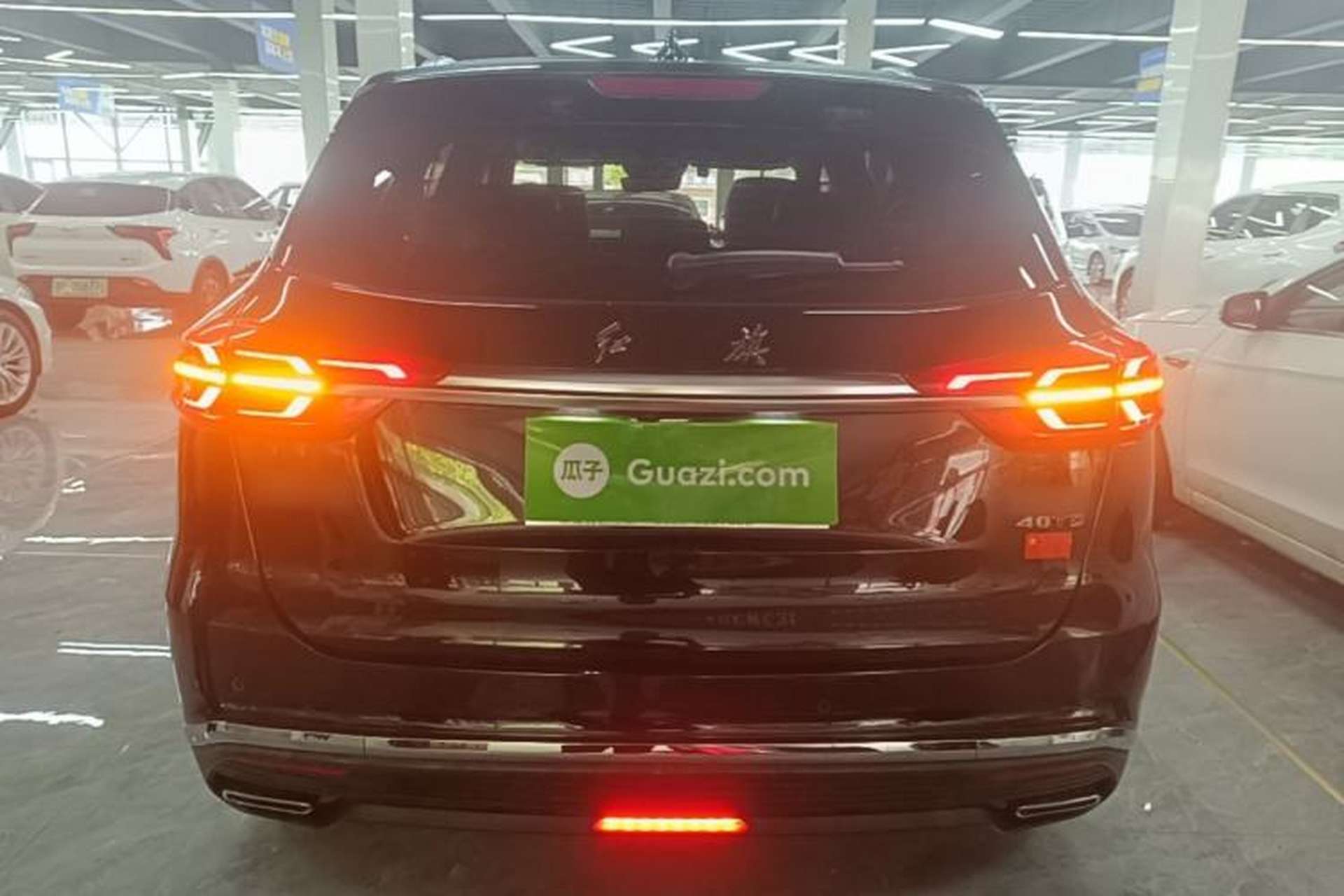 Used Hongqi HS5 2019 2.0T Smart Connect Flagship Edition Rear