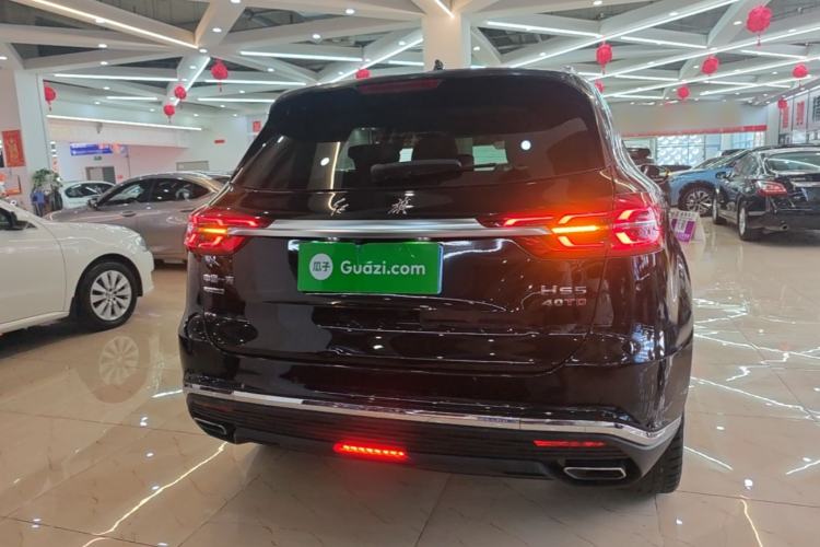 Used Hongqi HS5 2019 2.0T Smart Connect Flagship All-Wheel-Drive Version Rear
