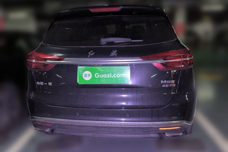 Used Hongqi HS5 2019 2.0T Smart Connect Flagship Edition Rear