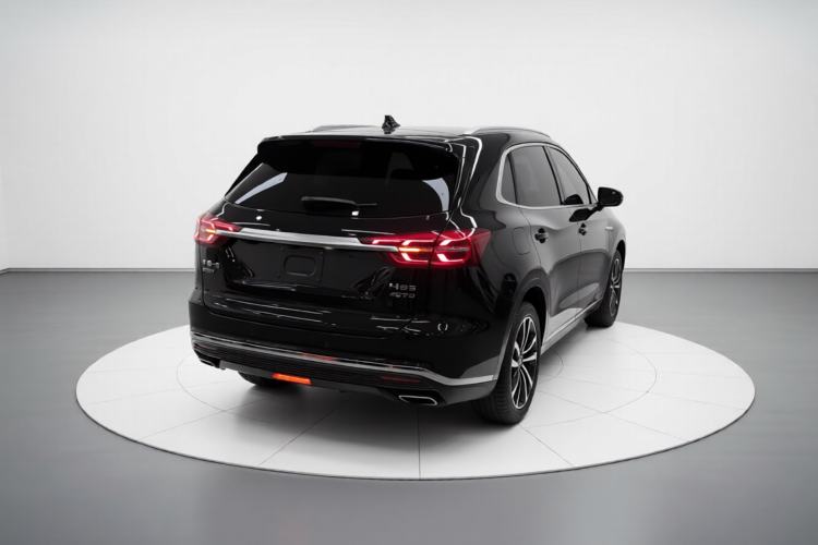 Used Hongqi HS5 2019 2.0T Smart Connect Flagship All-Wheel-Drive Version Rear